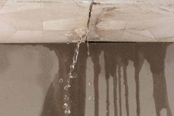Professional Water Damage Inspection technician working in Ashwood, OR